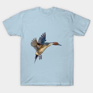 Incoming Pintail T-Shirt